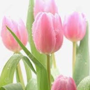 Meet your Posher, Teressa